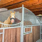 Quietly Located Vacation For Horse Lovers Villa *