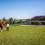 Quietly Located Vacation For Horse Lovers Villa
