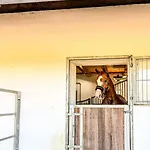 Quietly Located Vacation For Horse Lovers Villa