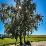 Quietly Located Vacation For Horse Lovers Villa *