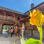 Quietly Located Vacation For Horse Lovers Villa Gumprechtsberg