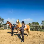 Quietly Located Vacation For Horse Lovers Villa