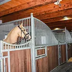 Quietly Located Vacation For Horse Lovers *