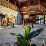Quietly Located Vacation For Horse Lovers