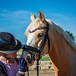 Villa Quietly Located Vacation For Horse Lovers