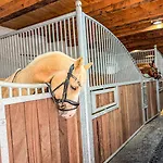 Quietly Located Vacation For Horse Lovers Villa