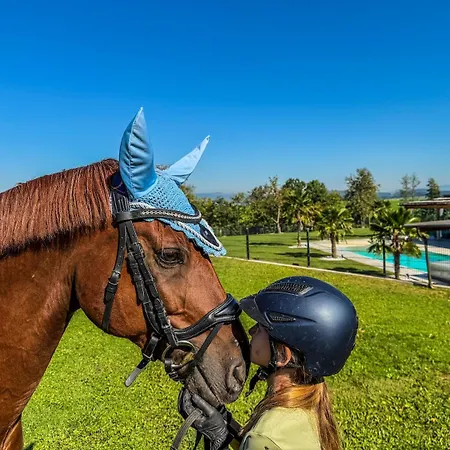 Luxusvilla Oesterreich Mit Pool فيلة Gumprechtsberg
