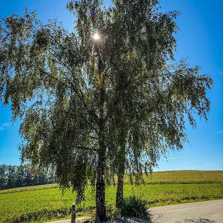 Luxusvilla Oesterreich Mit Pool فيلة *