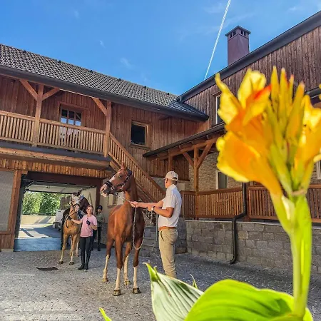 Luxusvilla Oesterreich Mit Pool فيلة Gumprechtsberg