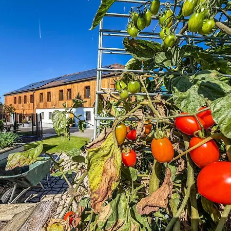 Luxusvilla Oesterreich Mit Pool