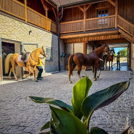 Luxusvilla Oesterreich Mit Pool