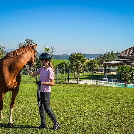 Luxusvilla Oesterreich Mit Pool فيلة *