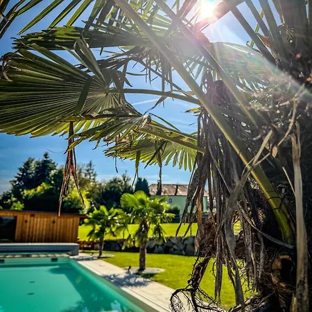 Luxusvilla Oesterreich Mit Pool * Gumprechtsberg