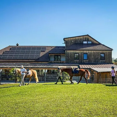 Luxusvilla Oesterreich Mit Pool فيلة Gumprechtsberg